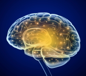 ���C���ێ�����